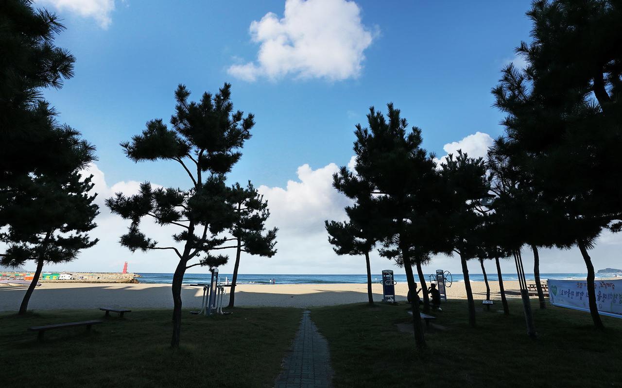 양양 낙산 월드 비치 모텔 외부 사진